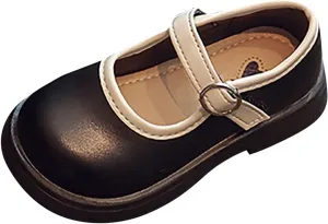 Toddler Girls Mary Jane Dress Shoes Flower Girl Shoes Little Girls School Flat?? for Wedding Part?? Shoes